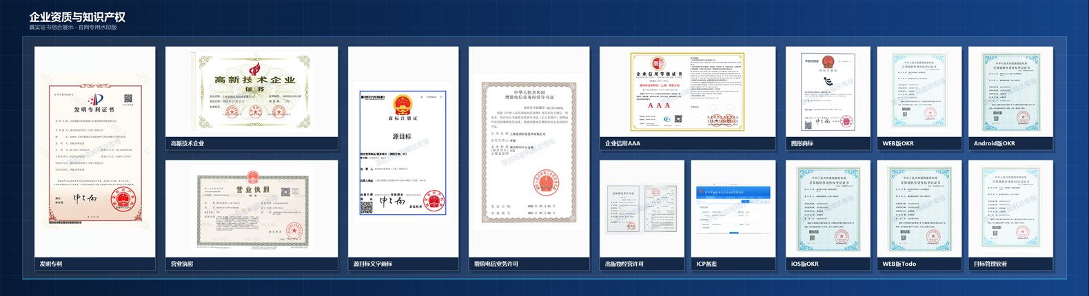 核心资质与知识产权的低分辨率水印预览